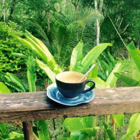 Overlooking the gardens at Vanilla Hills Lodge, Cayo, Belize – Best Places In The World To Retire – International Living